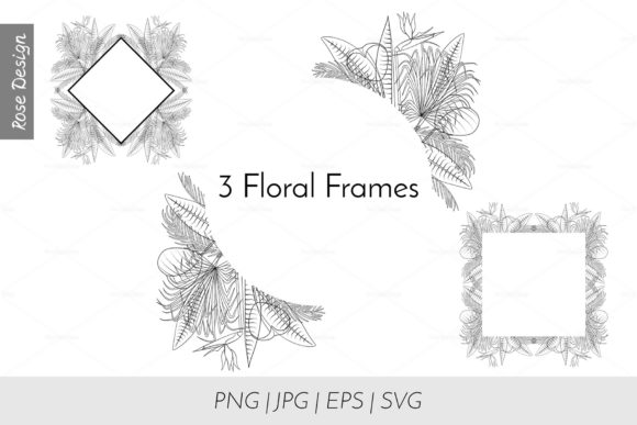 3 Monochrome Tropical Frames: Graphics & Decorative Elements Review
