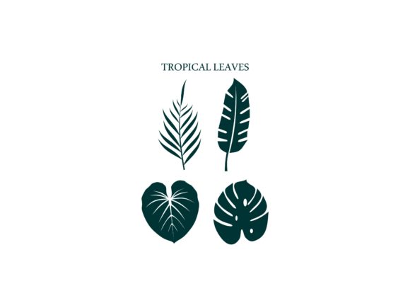 4 Set of Tropical Leaves: Graphics & Logos Review