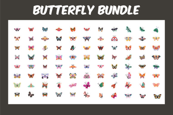 Colorful Decorative Butterfly Bundle Review