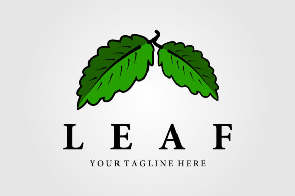 Leaf Vintage Logo Vector Illustration Review